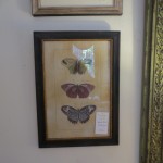 Picture Frames, Prints, Oils, & Mirrors