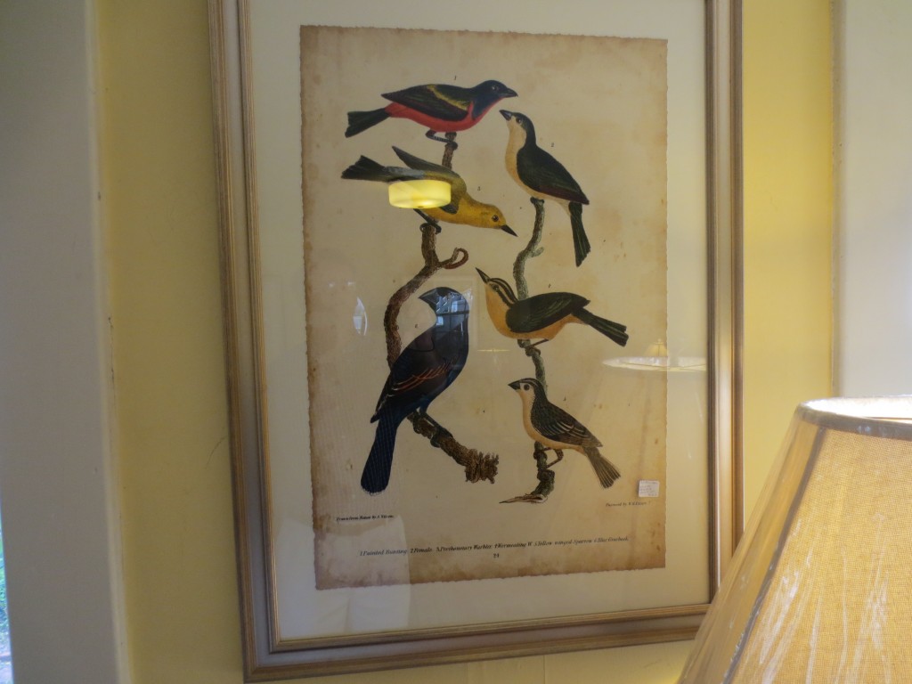 Picture Frames, Prints, Oils, & Mirrors