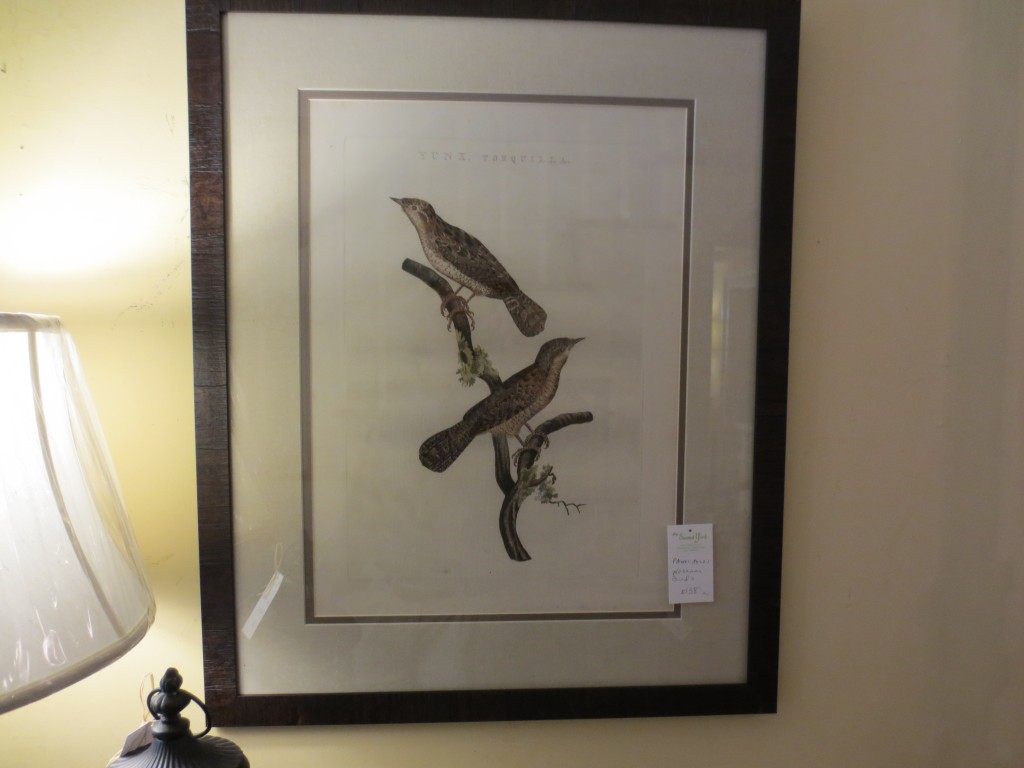 Picture Frames, Prints, Oils, & Mirrors