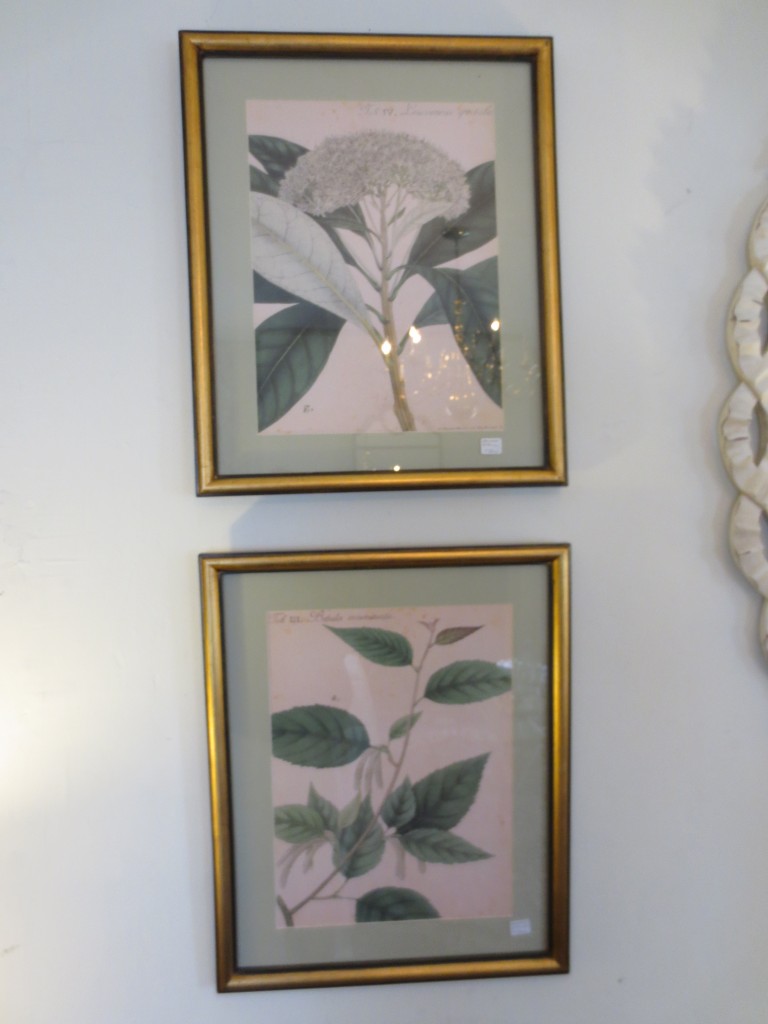 Lamps, Furniture, Prints & Pictures @ Charlottesville, Virginia Beach, & Roanoke Stores